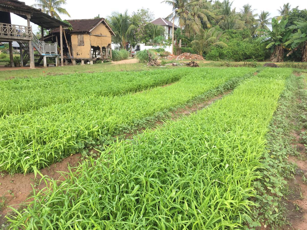 Green Life Cottage เสียมราฐ ภายนอก รูปภาพ