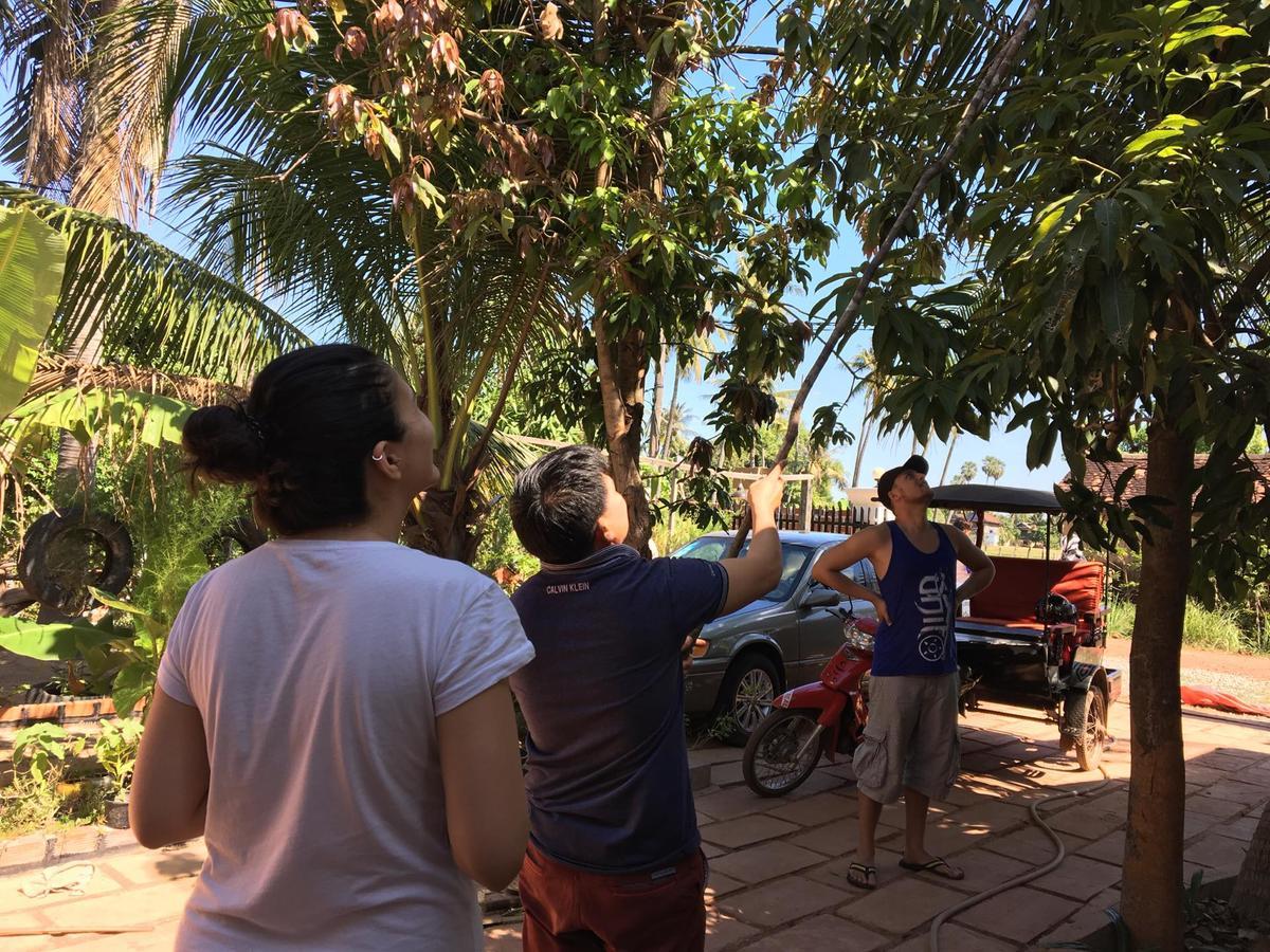 Green Life Cottage เสียมราฐ ภายนอก รูปภาพ